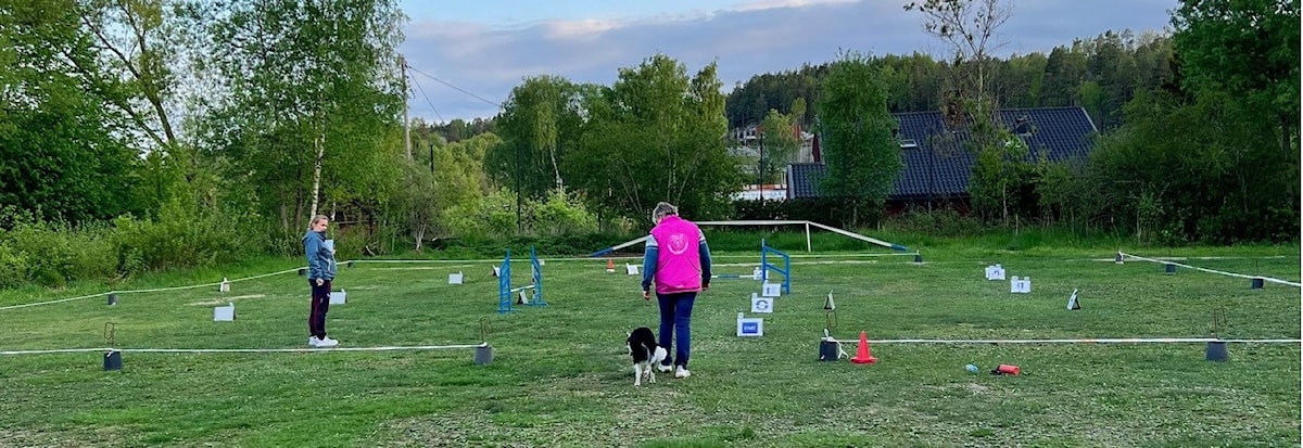 Online rallystevne - juni 2024